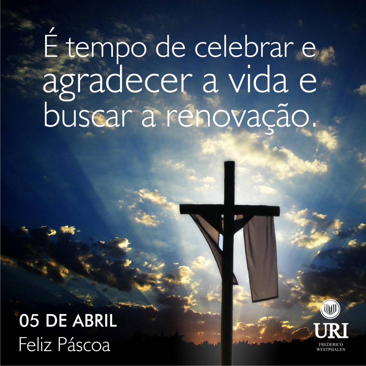 Imagem Notícia