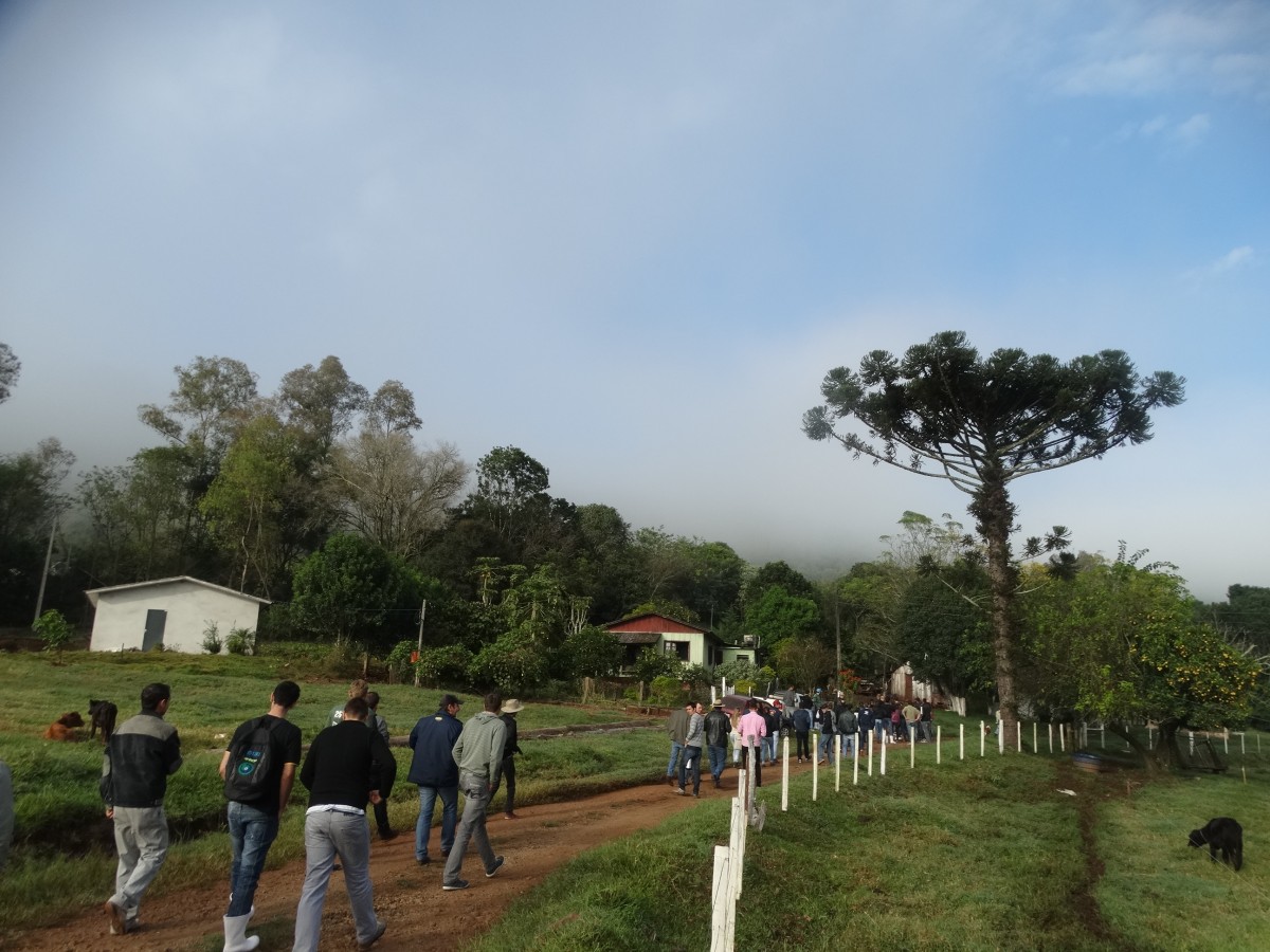 Imagem Notícia